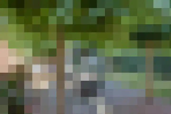 Leliënhuyze 5 's-Hertogenbosch thumbnail 33