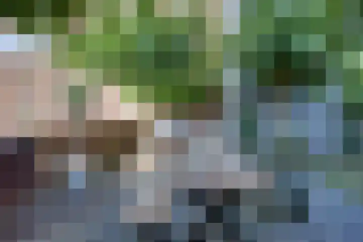 Leliënhuyze 5 's-Hertogenbosch thumbnail 34
