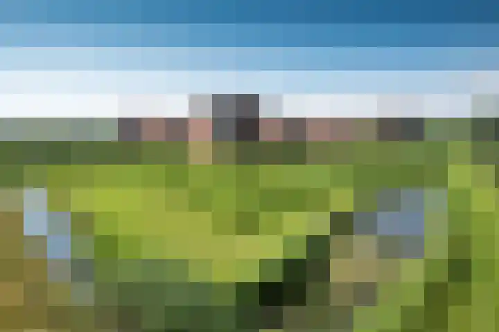 Leliënhuyze 5 's-Hertogenbosch thumbnail 39