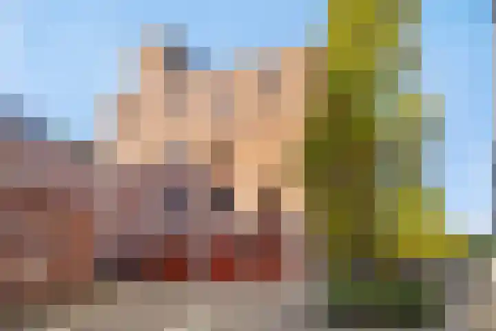 Leliënhuyze 5 's-Hertogenbosch thumbnail 42