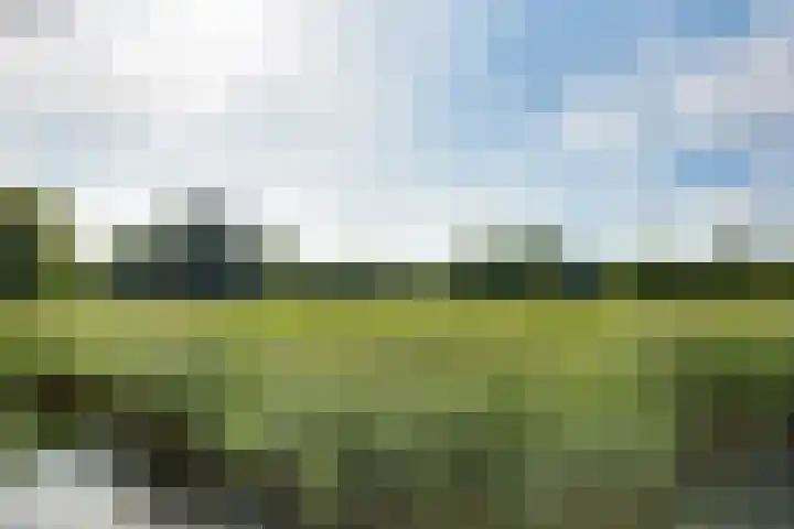 Leliënhuyze 5 's-Hertogenbosch thumbnail 50
