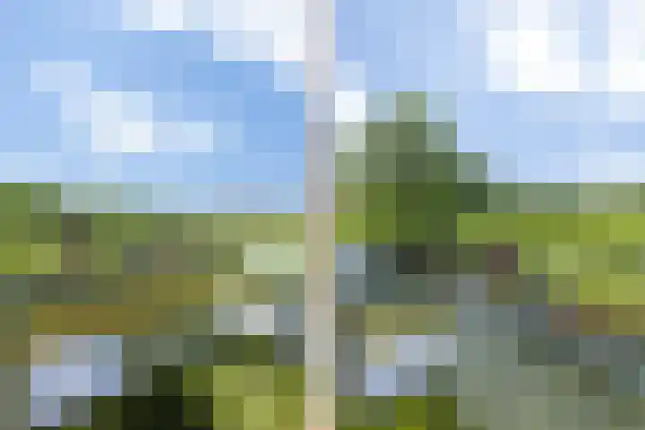Leliënhuyze 9 's-Hertogenbosch thumbnail 12