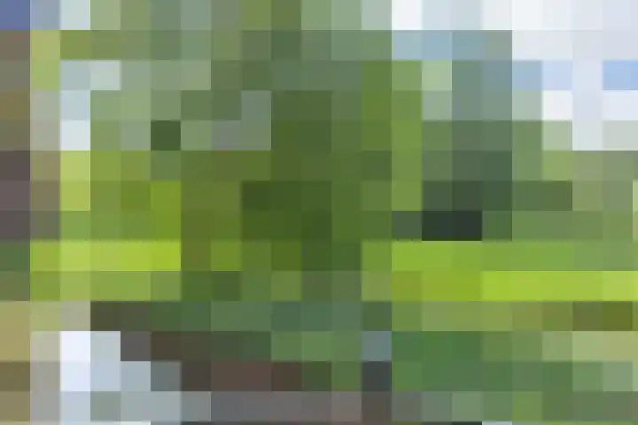 Leliënhuyze 9 's-Hertogenbosch thumbnail 13