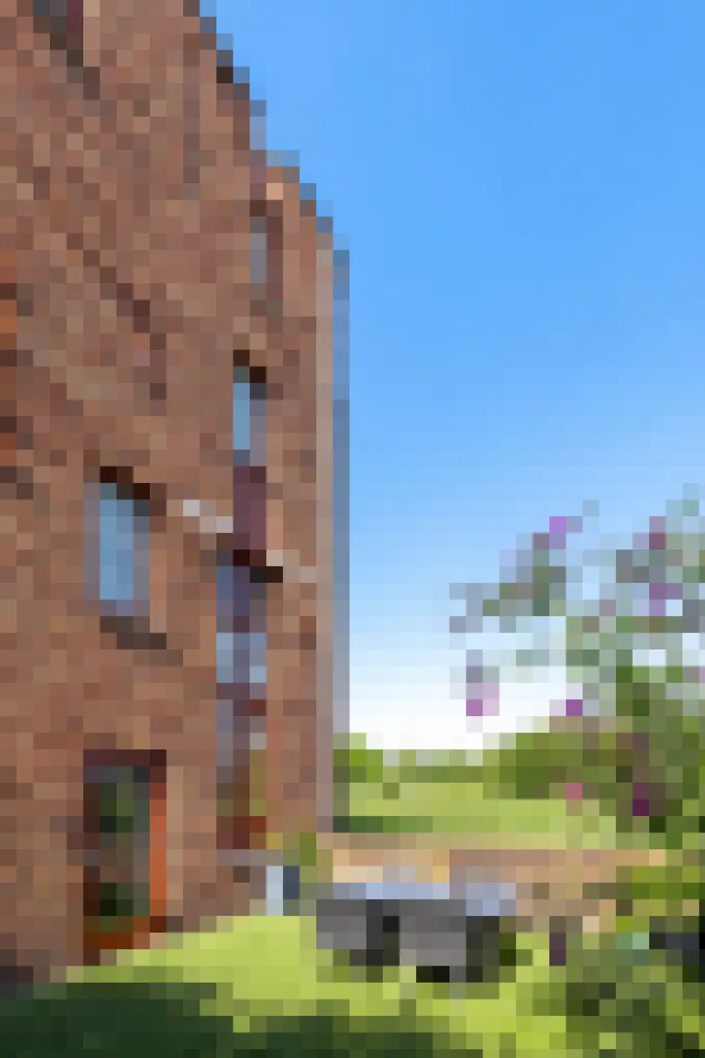 Leliënhuyze 9 's-Hertogenbosch thumbnail 15