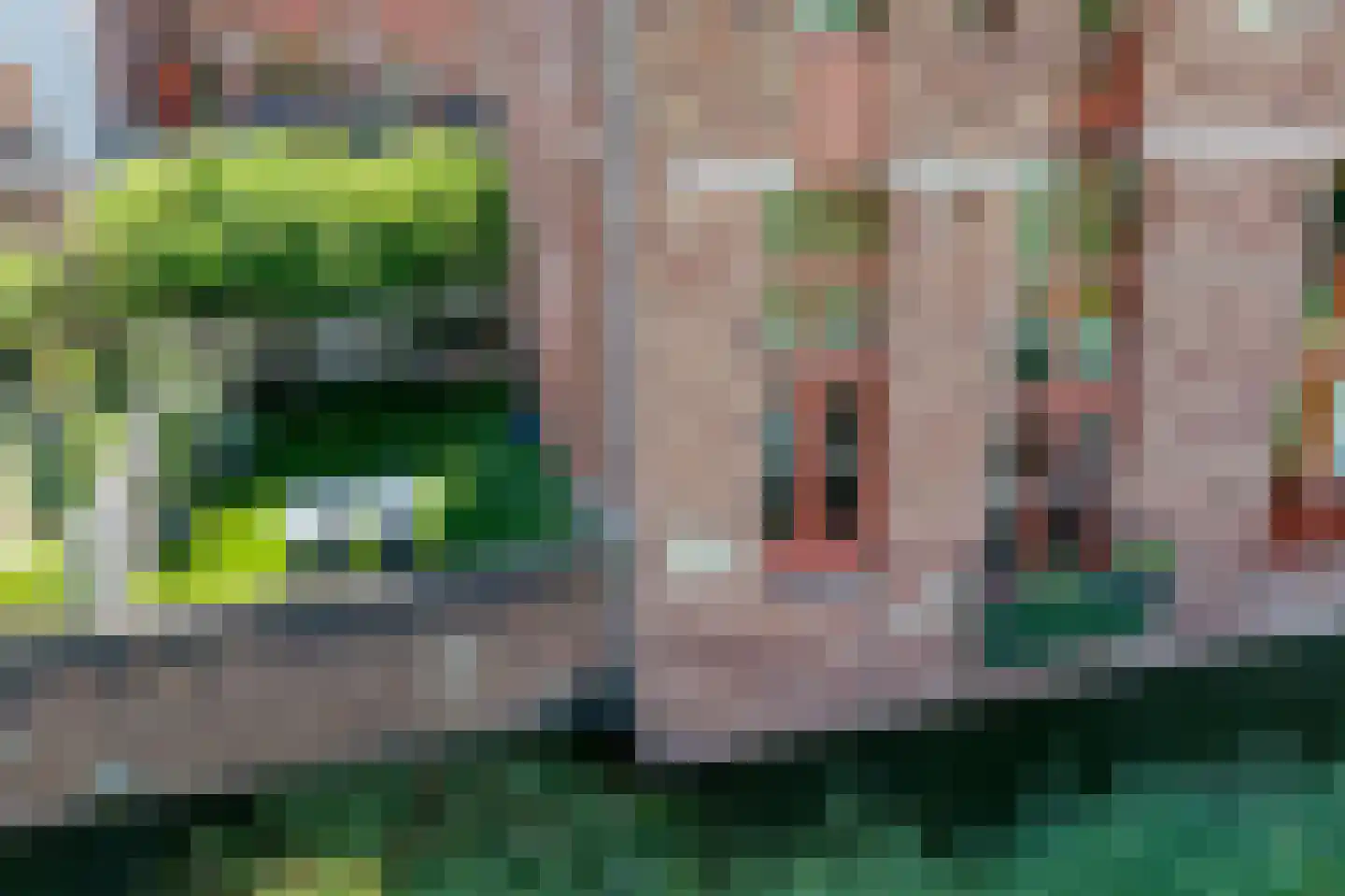 Leliënhuyze 9 's-Hertogenbosch thumbnail 16