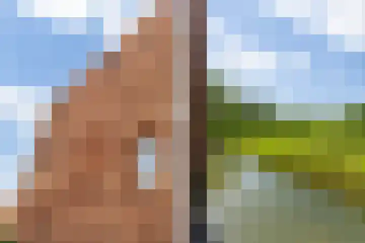 Leliënhuyze 9 's-Hertogenbosch thumbnail 17