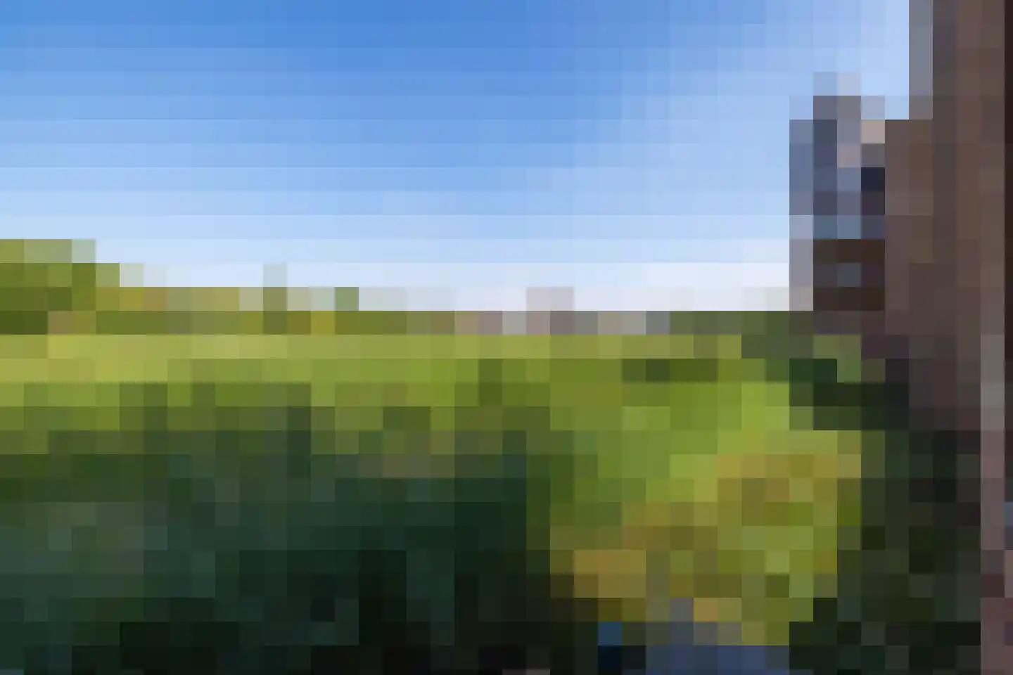 Leliënhuyze 9 's-Hertogenbosch thumbnail 18