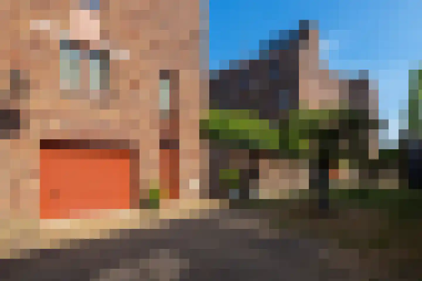 Leliënhuyze 9 's-Hertogenbosch thumbnail 20