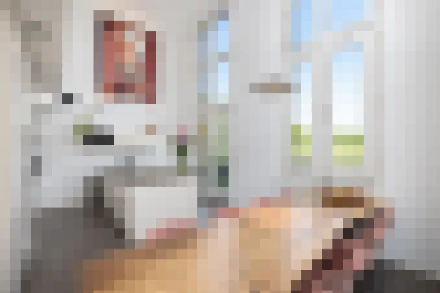 Leliënhuyze 9 's-Hertogenbosch thumbnail 4