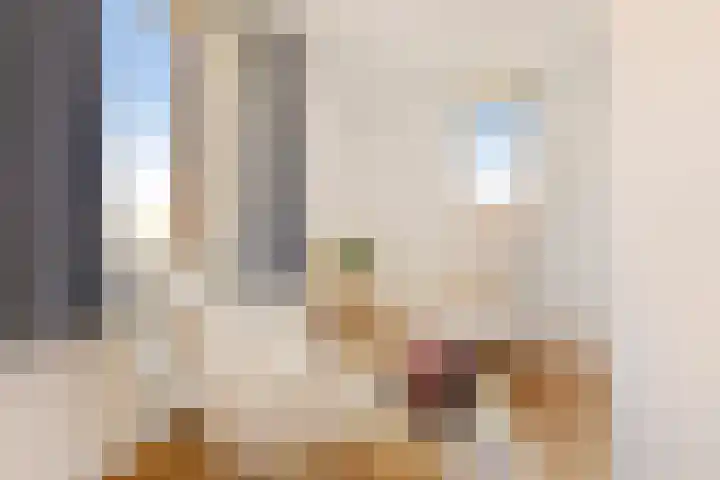 Leliënhuyze 9 's-Hertogenbosch thumbnail 41