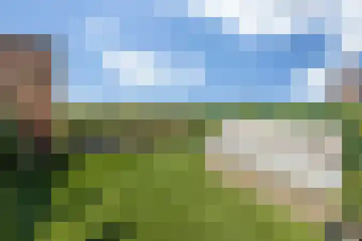 Leliënhuyze 9 's-Hertogenbosch thumbnail 49