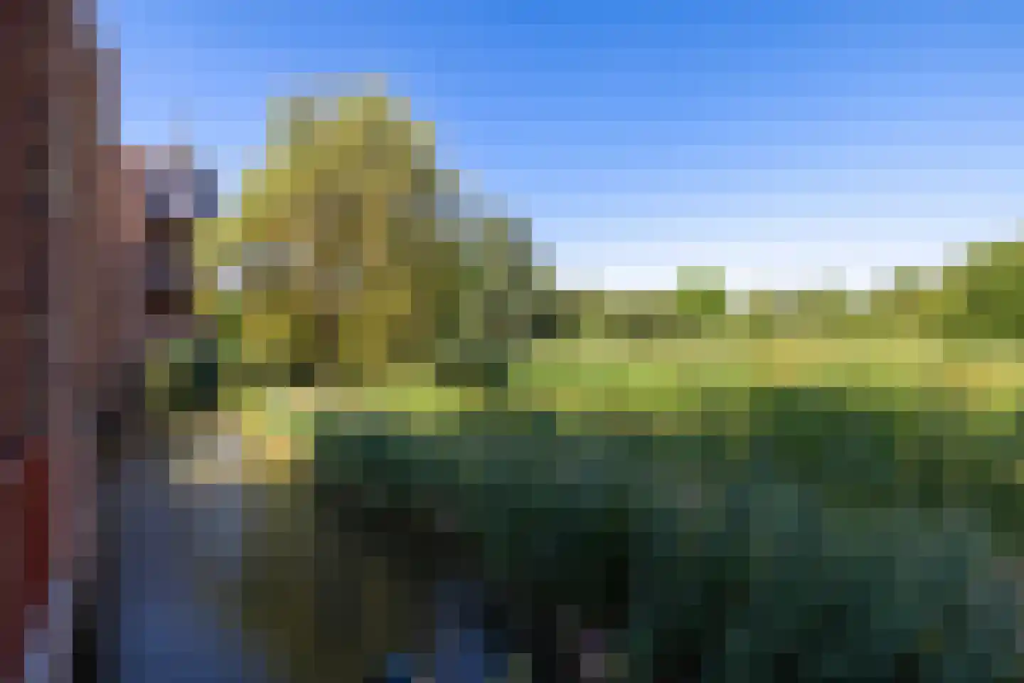 Leliënhuyze 9 's-Hertogenbosch thumbnail 5