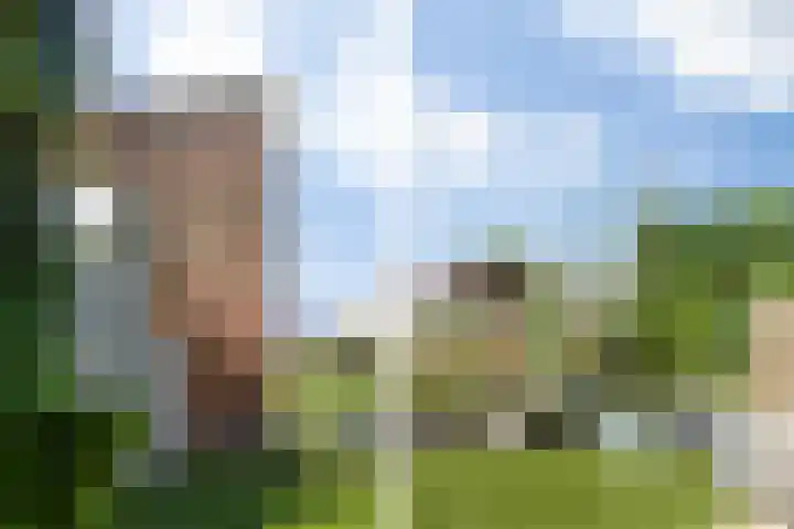 Leliënhuyze 9 's-Hertogenbosch thumbnail 50