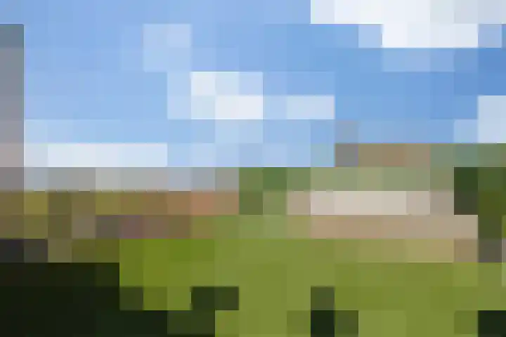 Leliënhuyze 9 's-Hertogenbosch thumbnail 51