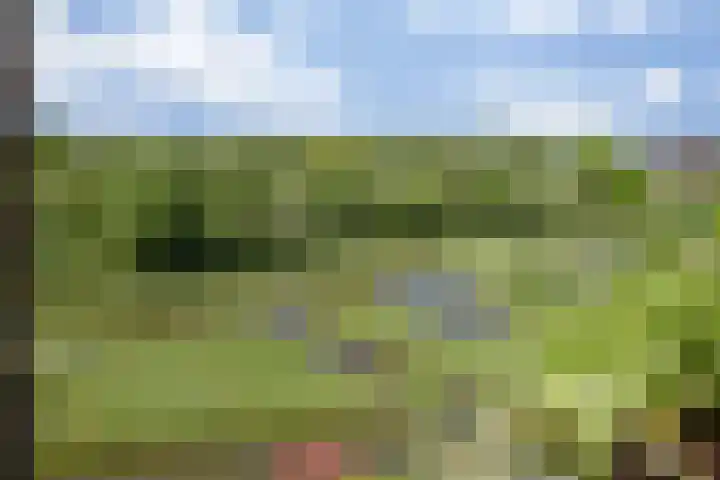 Leliënhuyze 9 's-Hertogenbosch thumbnail 52