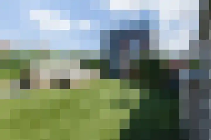 Leliënhuyze 9 's-Hertogenbosch thumbnail 53