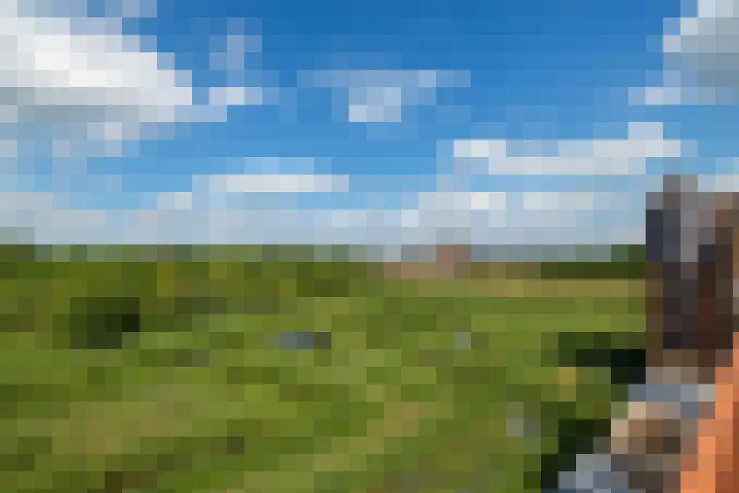 Leliënhuyze 9 's-Hertogenbosch thumbnail 55
