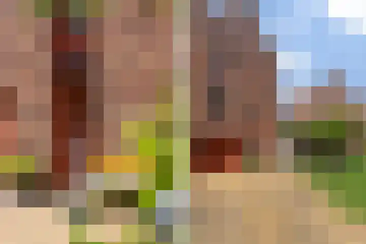 Leliënhuyze 9 's-Hertogenbosch thumbnail 55