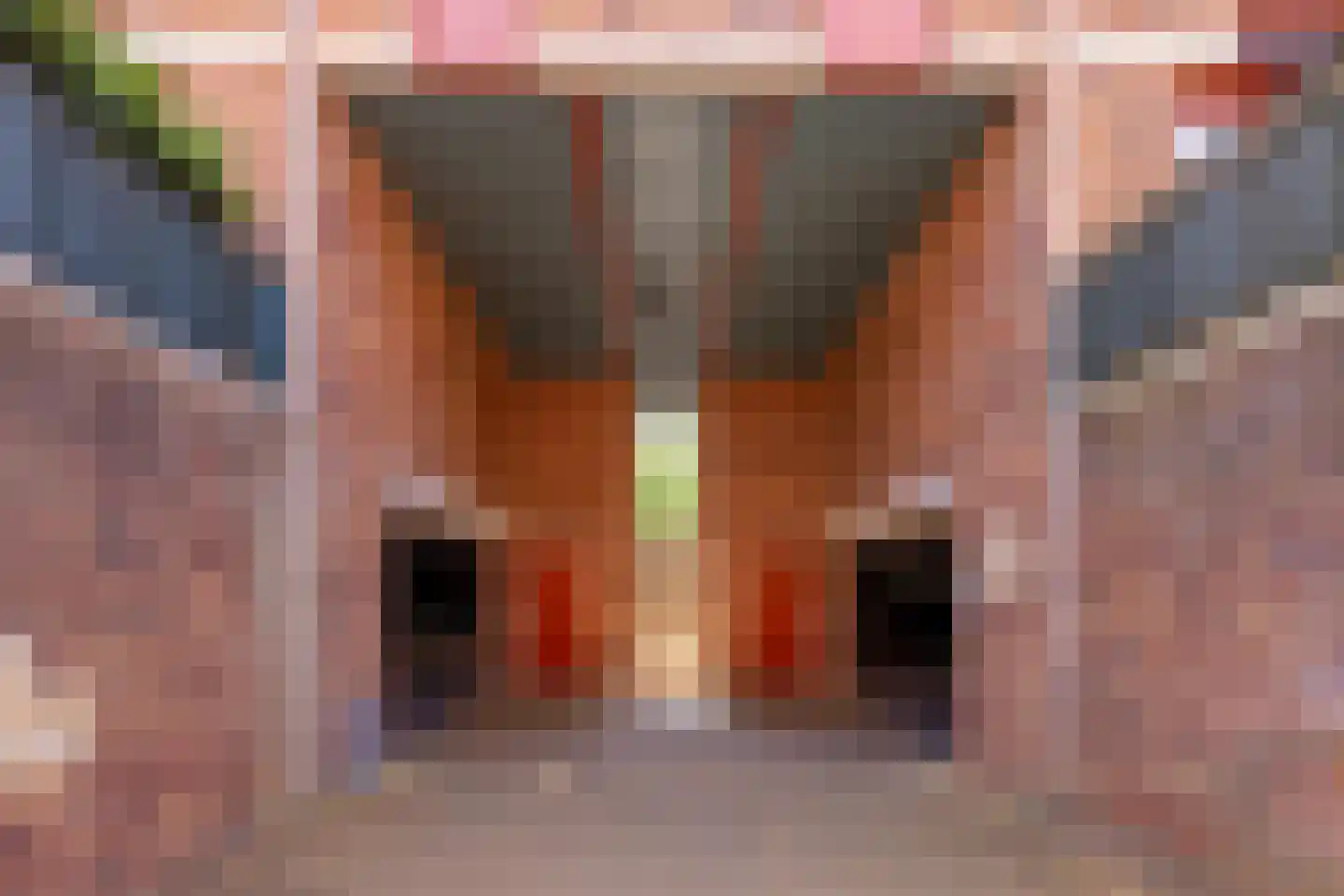 Leliënhuyze 9 's-Hertogenbosch thumbnail 65