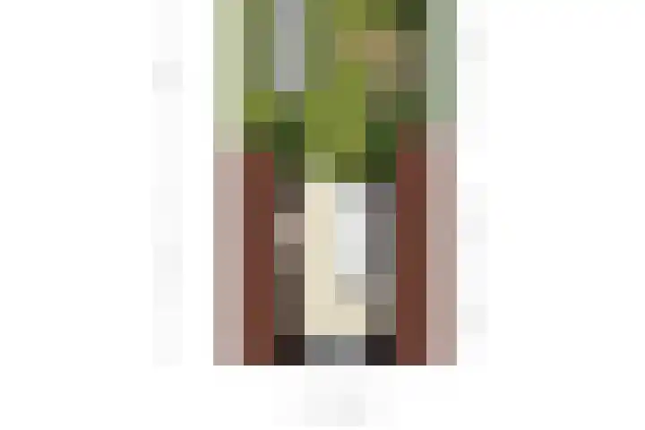 Leliënhuyze 9 's-Hertogenbosch thumbnail 66