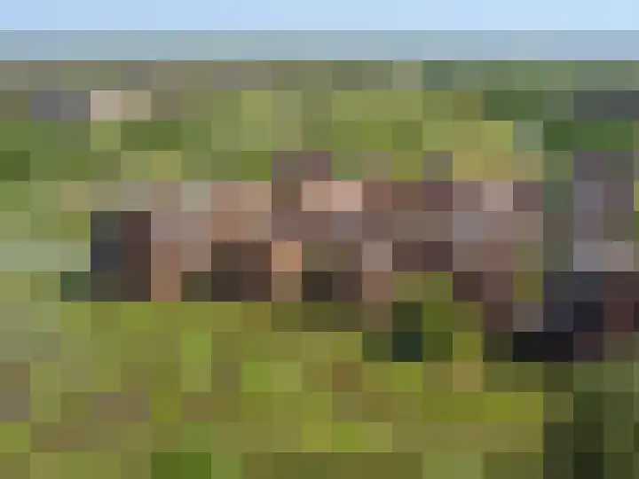Leliënhuyze 9 's-Hertogenbosch thumbnail 68