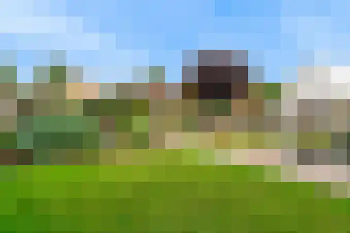 Leliënsingel 32 Geleen thumbnail 24
