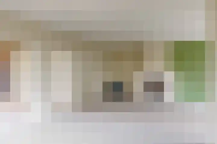 Leliënsingel 42 Geleen thumbnail 13
