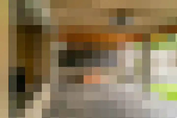 Leliënsingel 42 Geleen thumbnail 41