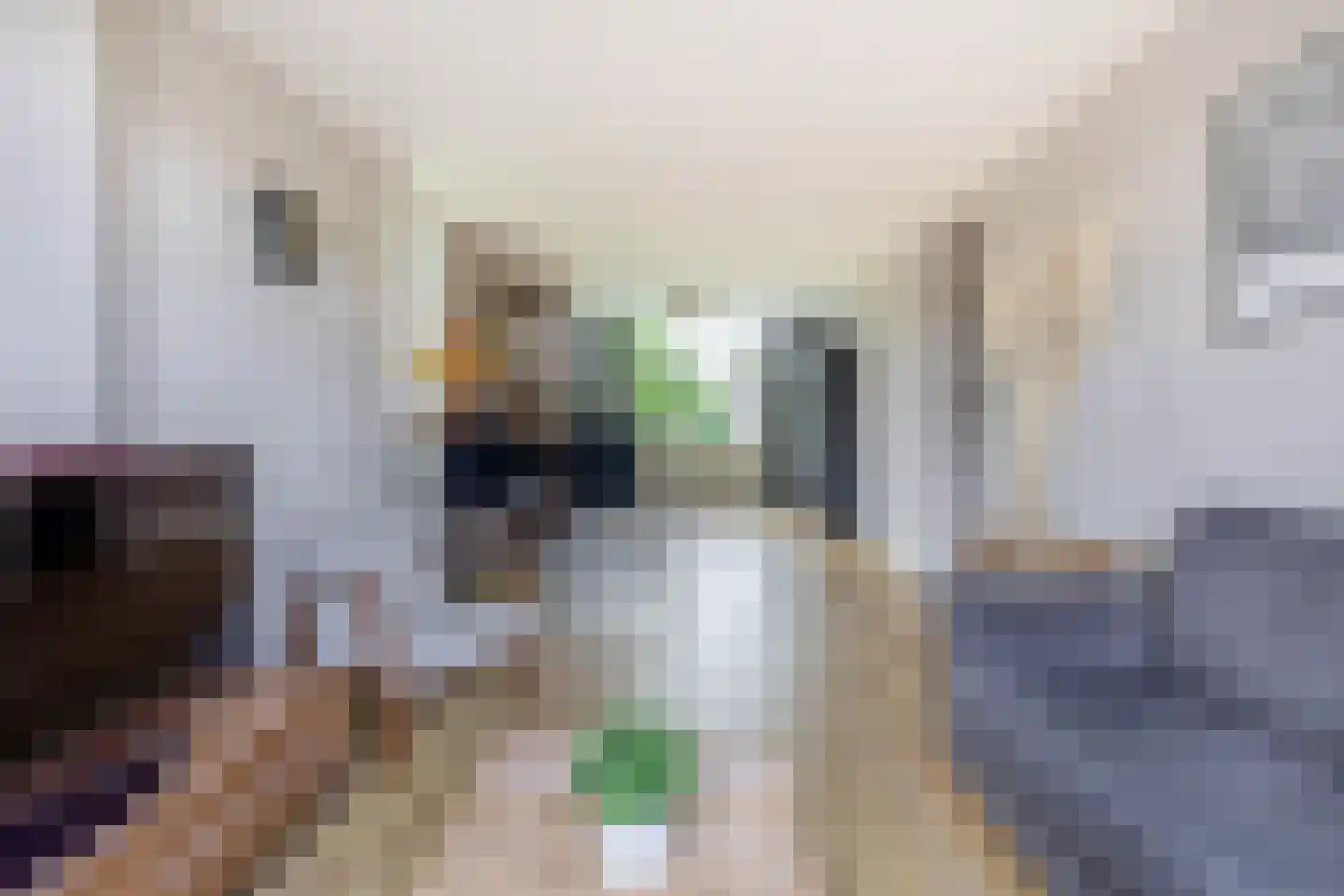 Lelieplein 1 B Spijkenisse thumbnail 13