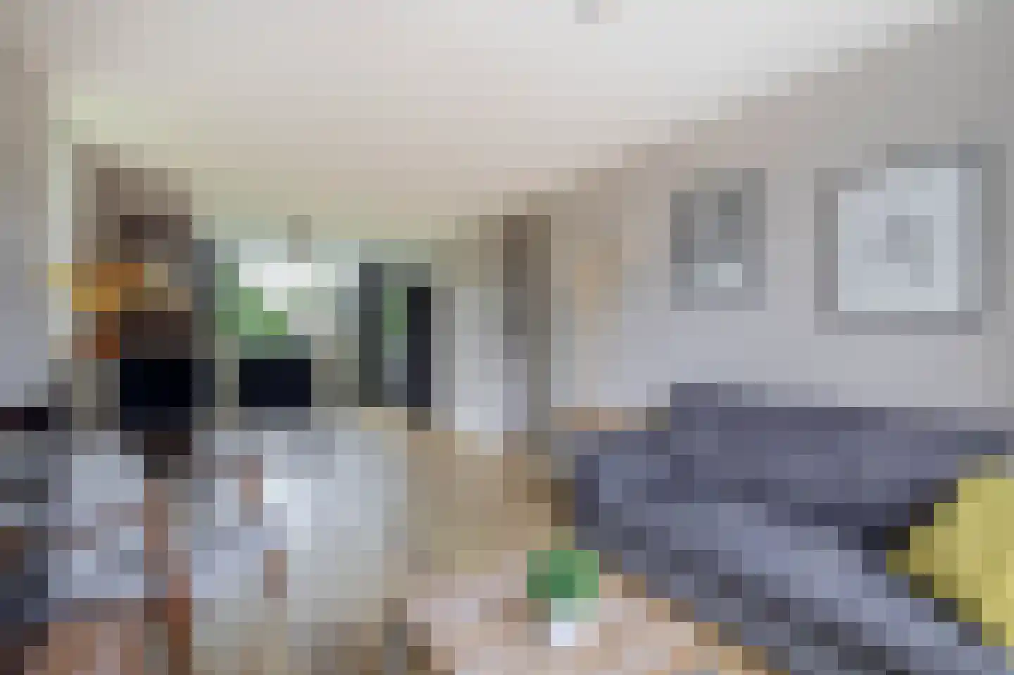 Lelieplein 1 B Spijkenisse thumbnail 14