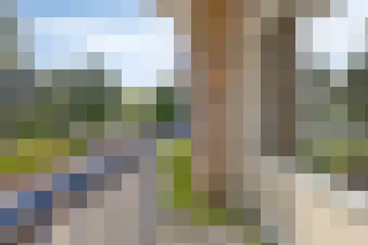 Lelieplein 11 A Spijkenisse thumbnail 10