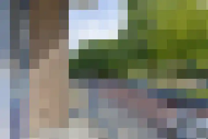 Lelieplein 11 A Spijkenisse thumbnail 11
