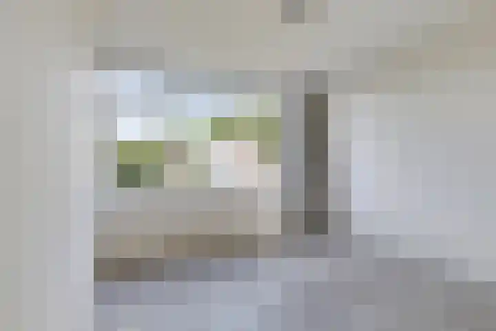 Lelieplein 11 A Spijkenisse thumbnail 14