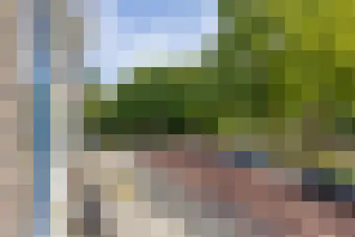 Lelieplein 11 A Spijkenisse thumbnail 17
