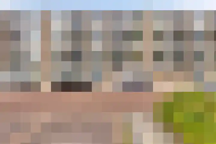 Lelieplein 11 A Spijkenisse thumbnail 19