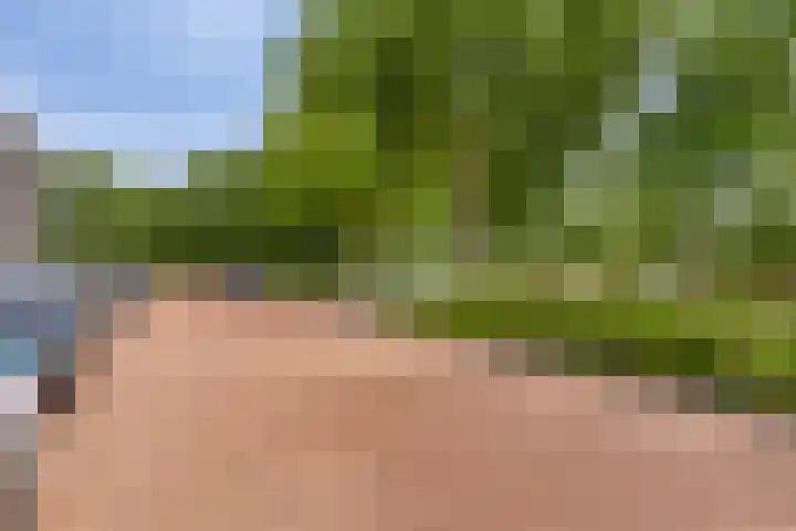 Lelieplein 11 A Spijkenisse thumbnail 21