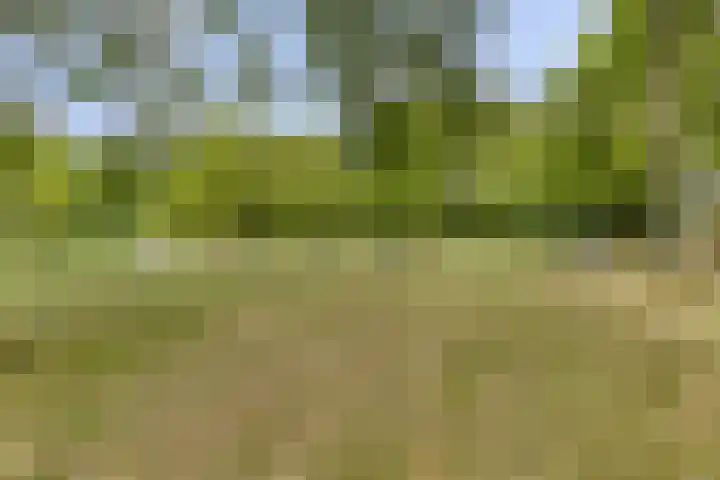 Lelieplein 11 A Spijkenisse thumbnail 22
