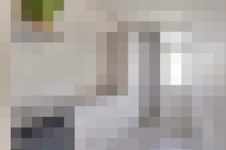 Lelieplein 11 A Spijkenisse thumbnail 5