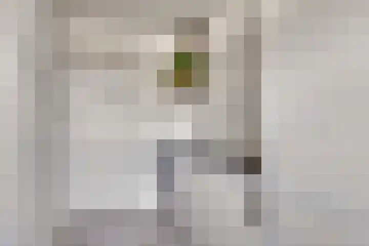 Lelieplein 11 A Spijkenisse thumbnail 6