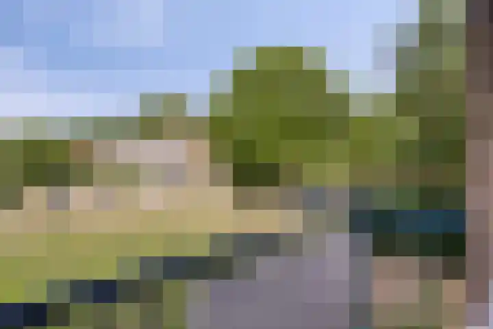 Lelieplein 11 A Spijkenisse thumbnail 7