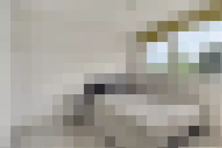 Lelieplein 12 Yerseke thumbnail 14