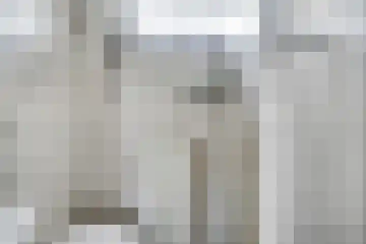 Lelieplein 12 Yerseke thumbnail 16