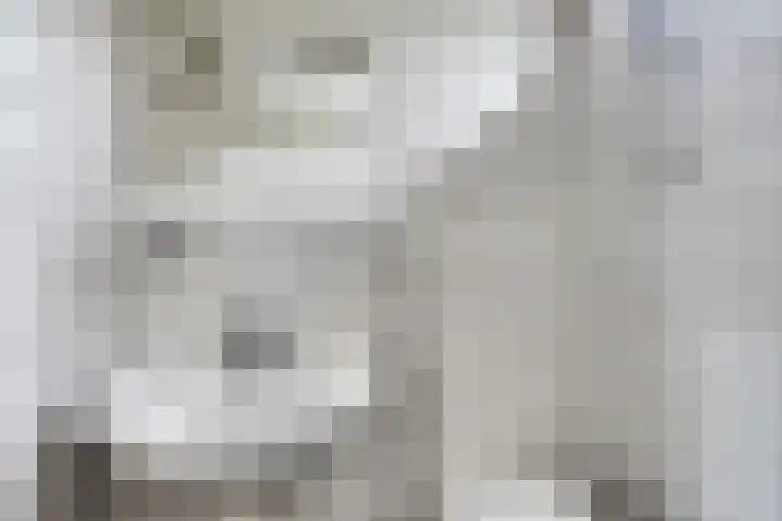 Lelieplein 12 Yerseke thumbnail 17