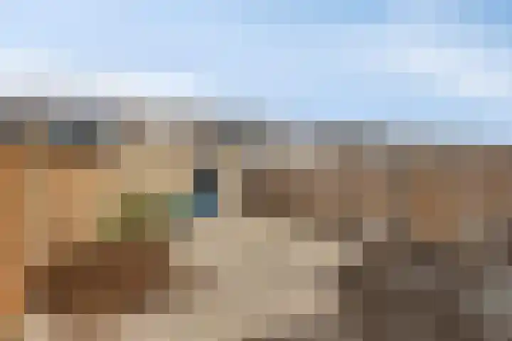 Lelieplein 12 Yerseke thumbnail 18