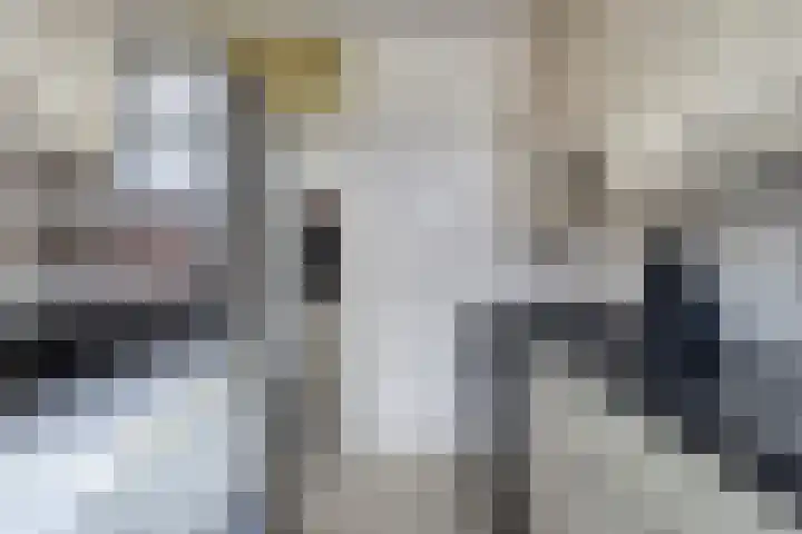 Lelieplein 12 Yerseke thumbnail 8