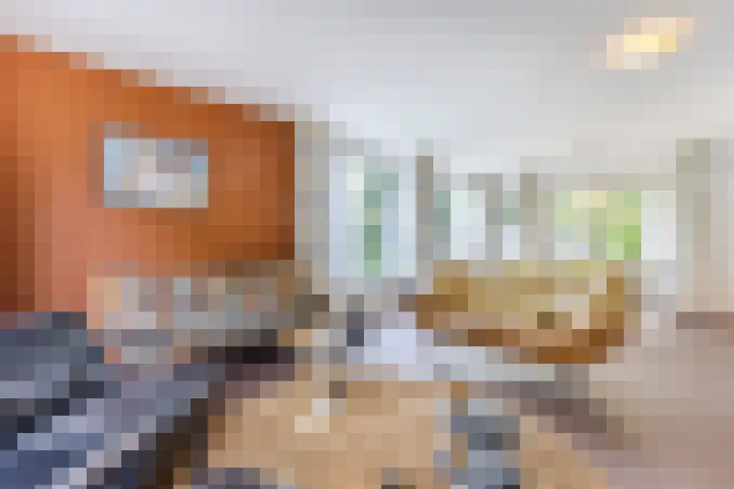 Lelieplein 2 Spijkenisse thumbnail 19