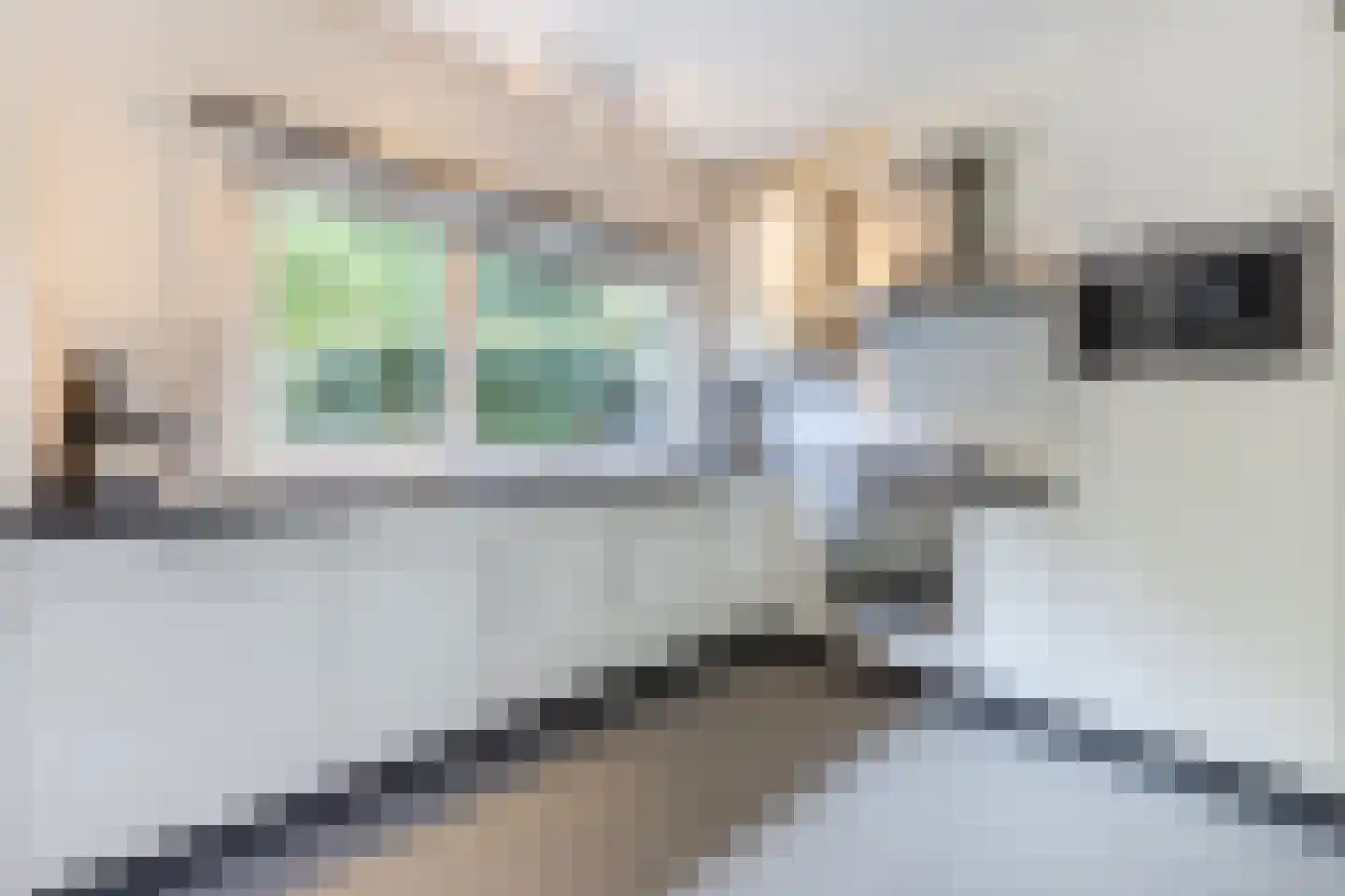 Lelieplein 2 Spijkenisse thumbnail 24
