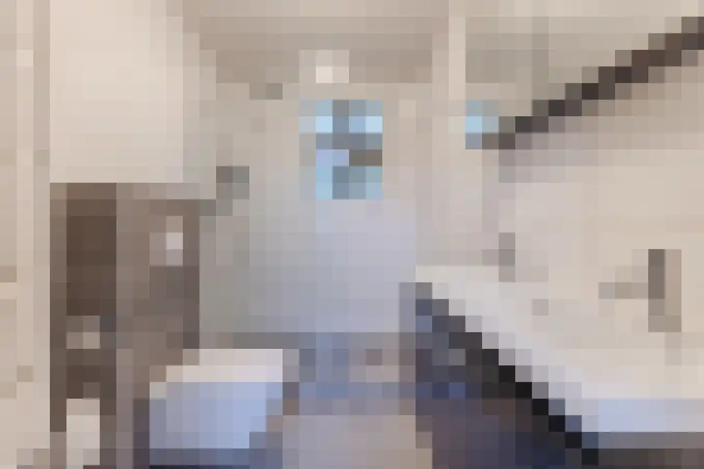 Lelieplein 2 Spijkenisse thumbnail 35