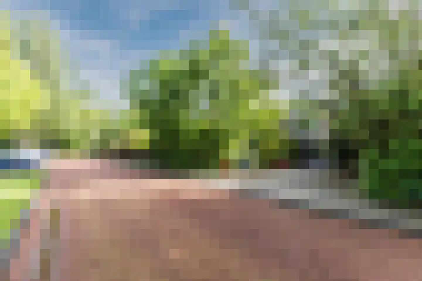 Lelieplein 2 Spijkenisse thumbnail 4