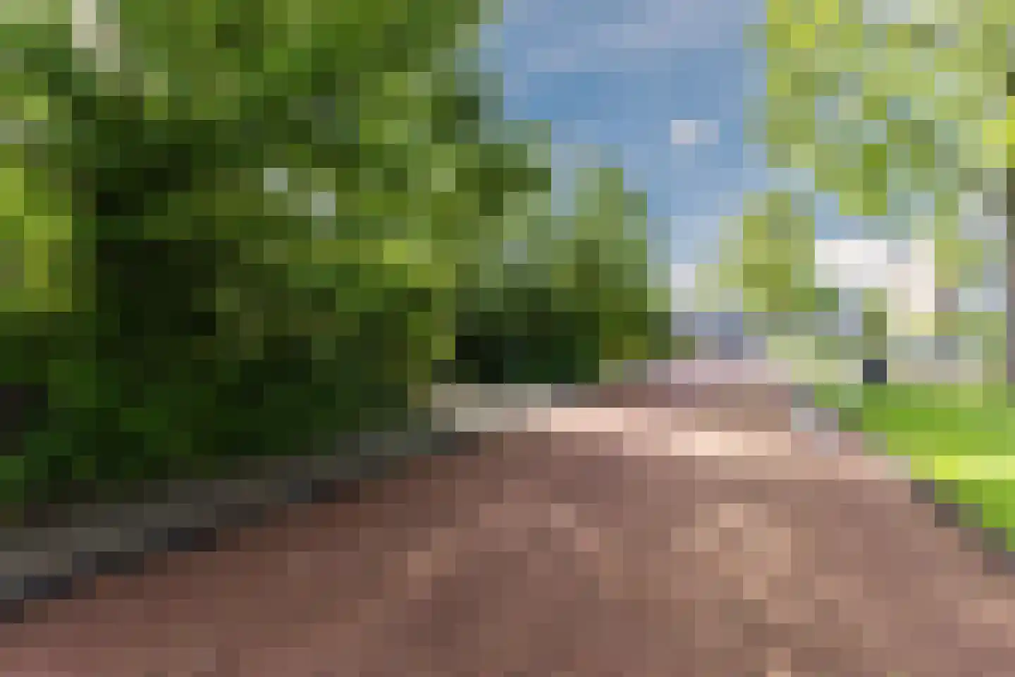 Lelieplein 2 Spijkenisse thumbnail 5